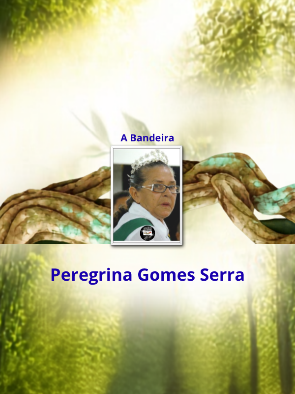 A Bandeira - Peregrina Gomes Serra _ thumb