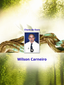 Chave de Ouro - Wilson Carneiro de Souza _ capa