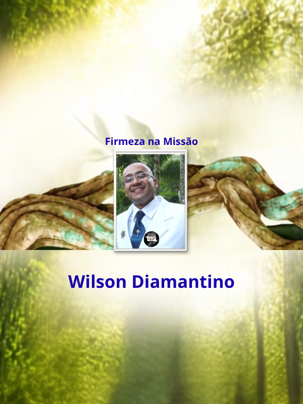 Firmeza na Missão - Wilson Diamantino _ capa