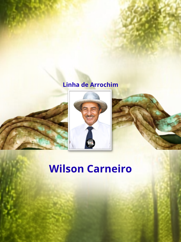 Linha de Arrochim - Wilson Carneiro de Souza _ capa