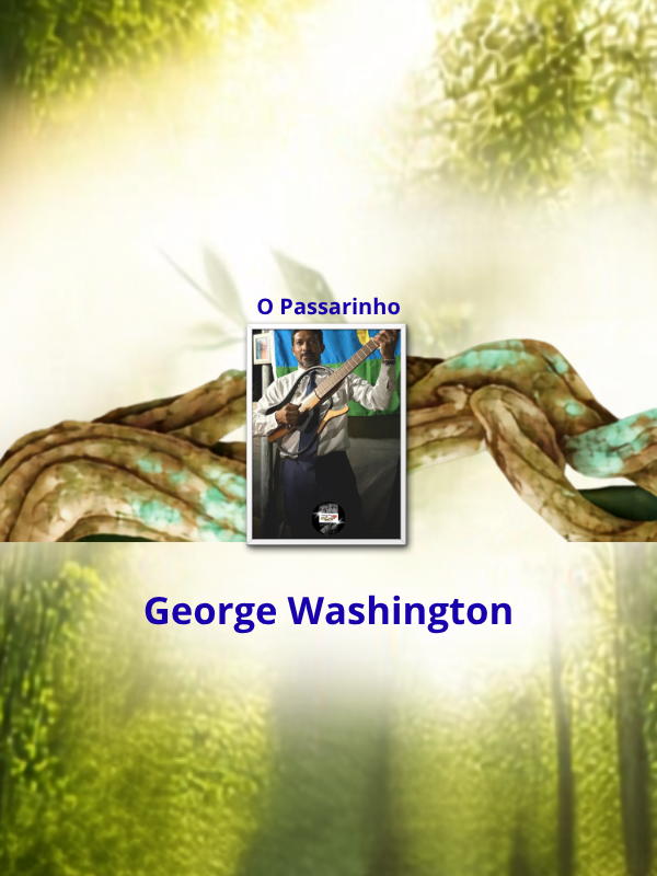 O Passarinho - George Washington_thumb
