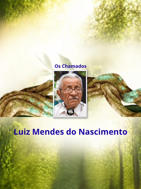 Os Chamados - Luiz Mendes do Nascimento _ capa