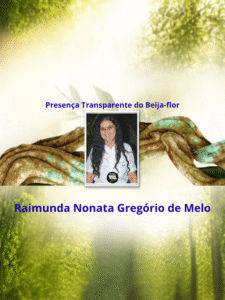 Presença Transparente do Beija-flor - Raimunda Nonata Gregório de Melo _ capa