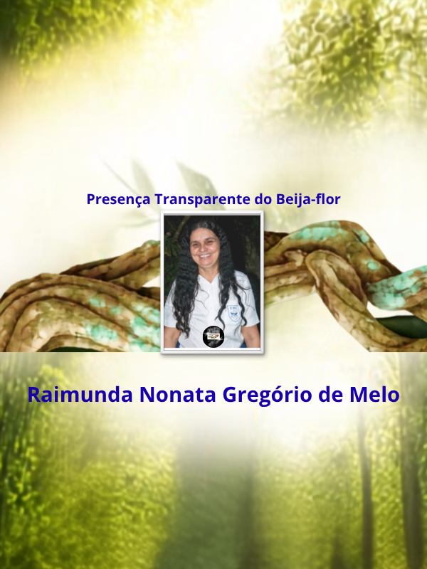 Presença Transparente do Beija-flor - Raimunda Nonata Gregório de Melo _ capa