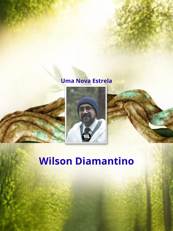 Uma Nova Estrela - Wilson Diamantino _ capa