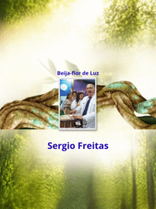 Beija-flor de Luz - Sergio Freitas _ capa