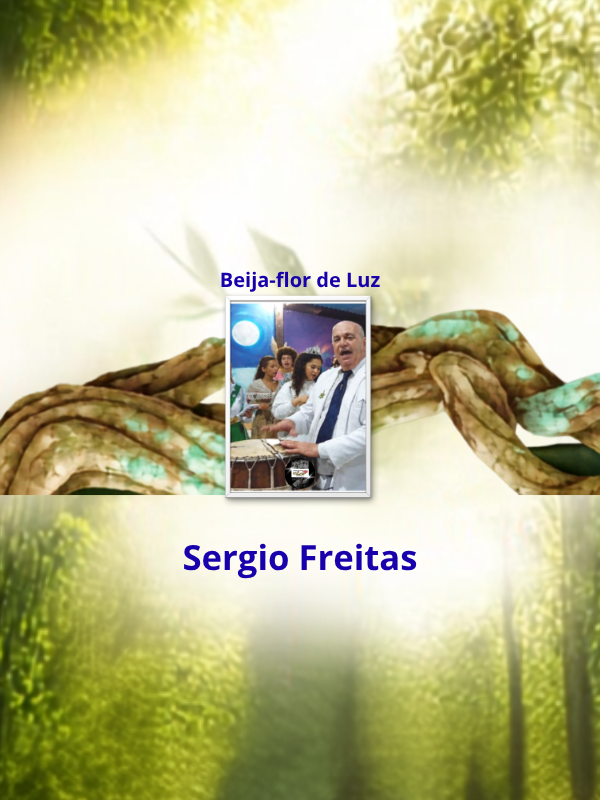 Beija-flor de Luz - Sergio Freitas _ capa